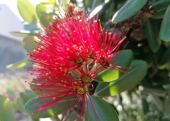 Casa de Férias Chale - Sea View